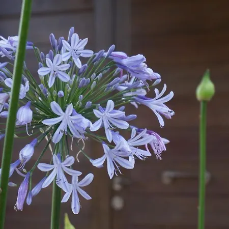 Mas De La Font Casa vacanze *