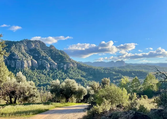 Mas De La Font Ferienhaus *